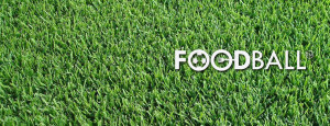 banner_grande_home_FBlogo