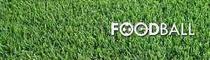 cropped-banner_grande_home_FBlogo.jpg