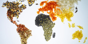 o-MAP-OF-THE-WORLD-facebook